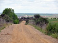 Ordenanza reguladora de los caminos rurales municipales